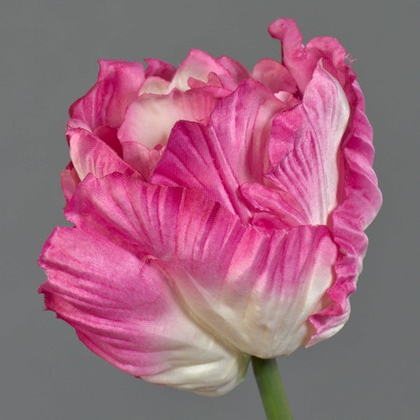 Künstliche Papageientulpe in Rosa und Weiß mit gewellten Blütenblättern am Stiel.