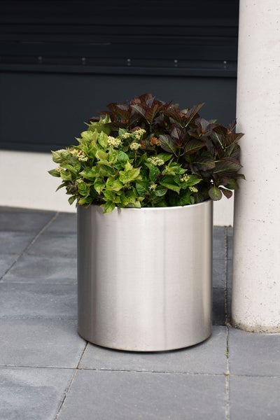 Zylindrischer Pflanzkübel aus Edelstahl mit grün- und dunkelblättrigen Pflanzen auf einer grauen Terrasse neben einer weißen Säule.