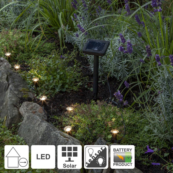 Beleuchtete Gartenszene mit LED-Bodeneinbaustrahlern und Solarlampe