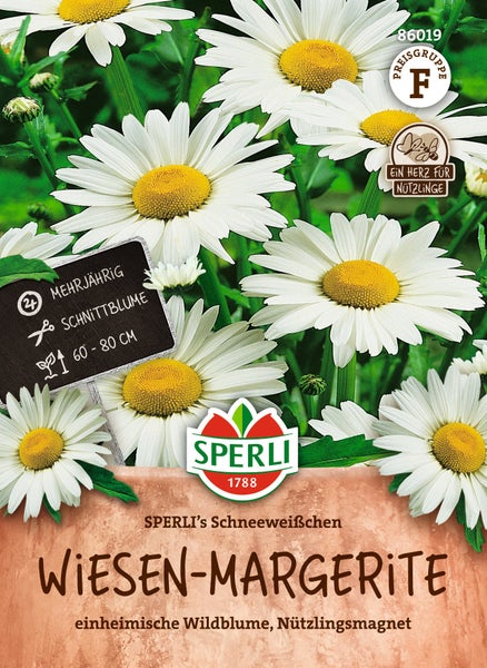 Sperli Wiesen Margerite Schneeweißchen Blumensamen für mehrjährige Schnittblumen mit 60 bis 80 Zentimeter Wuchshöhe