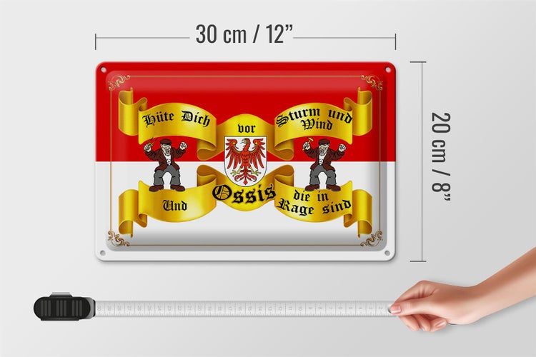 Blechschild Spruch 30x20cm hüte dich vor Sturm Wind Ossis Brandenburg