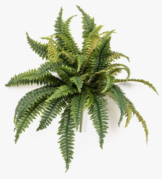 Nahaufnahme von künstlichen Farnblättern.