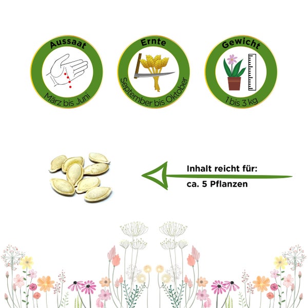 Symbole für Aussaat von März bis Juni, Ernte von September bis Oktober und Gewicht von 1 bis 3 Kilogramm. Inhalt reicht für circa 5 Pflanzen.