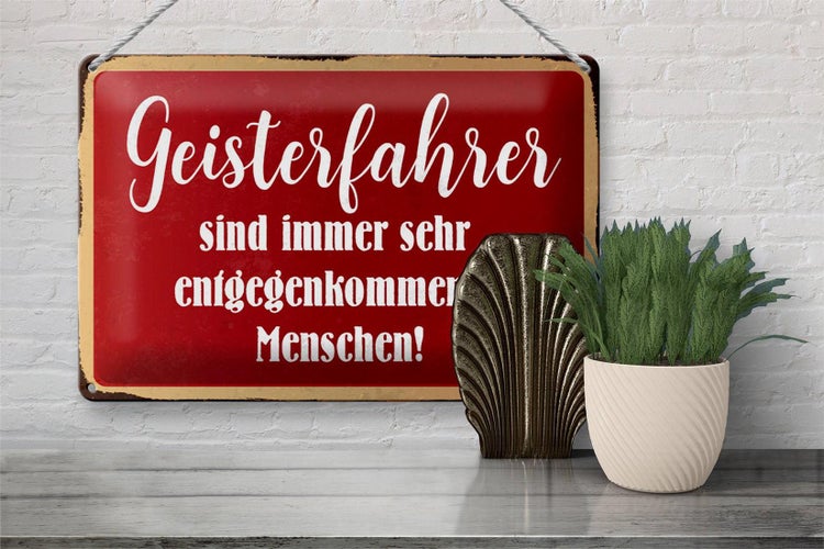 Blechschild Spruch 30x20cm Geisterfahrer sind Menschen