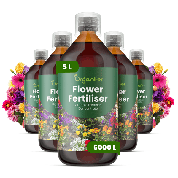 Organifer Flüssiger Blumendünger, Bio-Dünger-Konzentrat, 5 Liter Flasche für circa 5000 Liter Gießwasser, mit Messbecher.