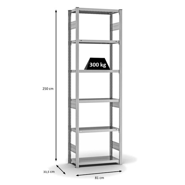 PROREGAL Fachbodenregal Stecksystem T-Profil Heavy-Duty Grundregal HxBxT 250 x 75 x 30 cm 6 Ebenen Fachlast 300 kg Beidseitig Nutzbar Verzinkt