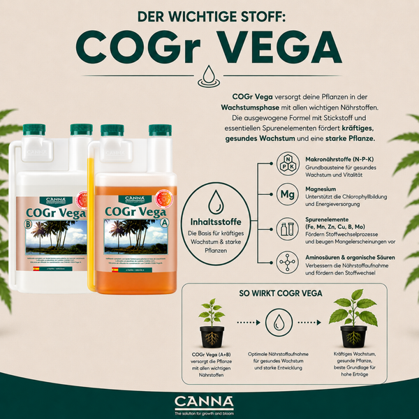 Infografik zum CANNA COGr Vega Pflanzendünger für die Wachstumsphase mit Inhaltsstoffen und Wirkungsweise.