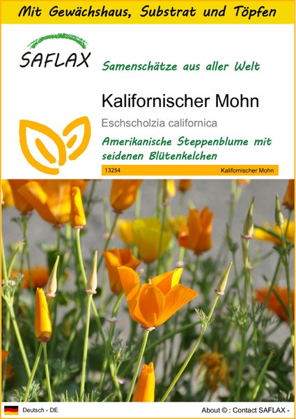 SAFLAX Anzucht Set - Kalifornischer Mohn - Eschscholzia californica - 1500 Samen - Mit Mini-Gewächshaus, Anzuchtsubstrat und 2 Töpfen