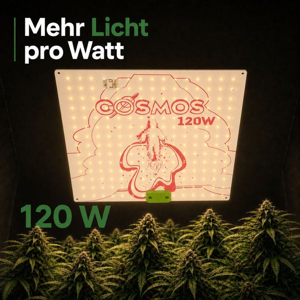 LED-Pflanzenlampe mit COSMOS Logo, 120 Watt, über Pflanzen mit dem Text Mehr Licht pro Watt.
