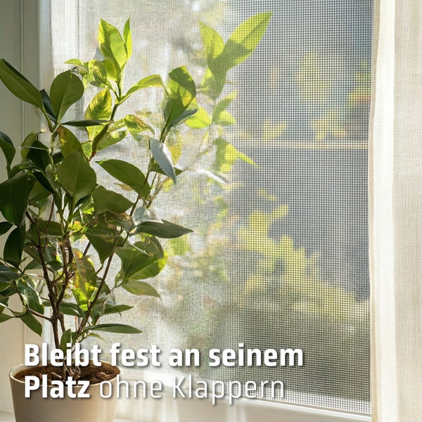 Insektenschutzgitter am Fenster montiert mit einer Zimmerpflanze davor. Das Gitter sitzt fest auf seinem Platz ohne zu klappern.