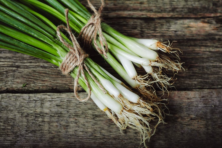 SAFLAX Garden to go - BIO - Frühlingszwiebel - Japanische Ishikura - Allium fistulosum - 150 Samen - Mit Topf, Klima - Deckel und Anzuchtsubstrat