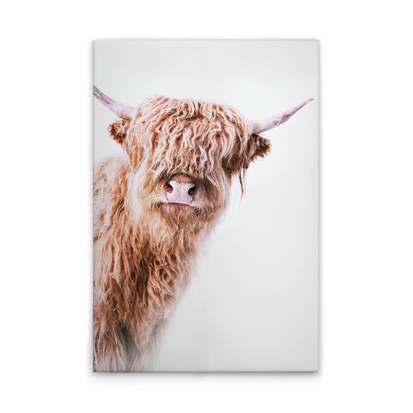 Wandbild eines Hochlandrindes