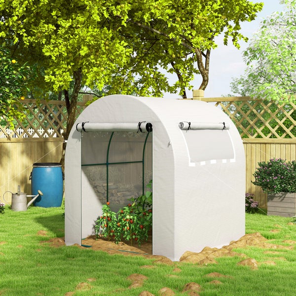 Weißes Foliengewächshaus mit Runddach, aufrollbarer Front und Seitenfenster in einem hellen Garten mit Zaun und Bäumen, Tomatenpflanzen im Inneren.