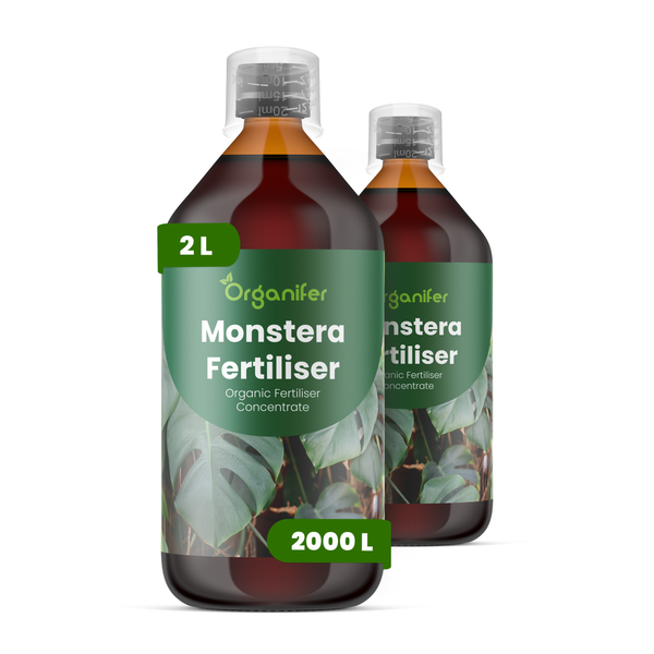 Organifer Monstera Dünger, organisches Düngerkonzentrat, 2 Liter Flasche für 2000 Liter Gießwasser.