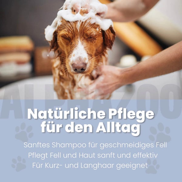 Ein Hund wird mit Shampoo gewaschen