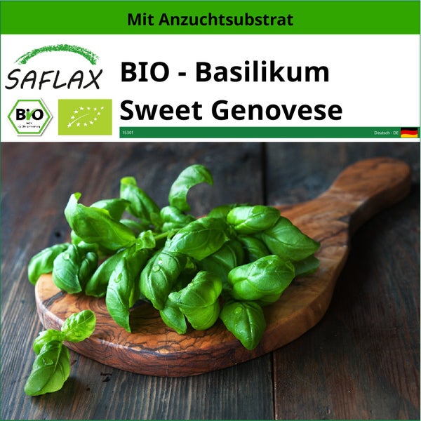 SAFLAX  - BIO - Basilikum Sweet Genovese - Ocimum basilicum - 800 Samen - Mit keimfreiem Anzuchtsubstrat