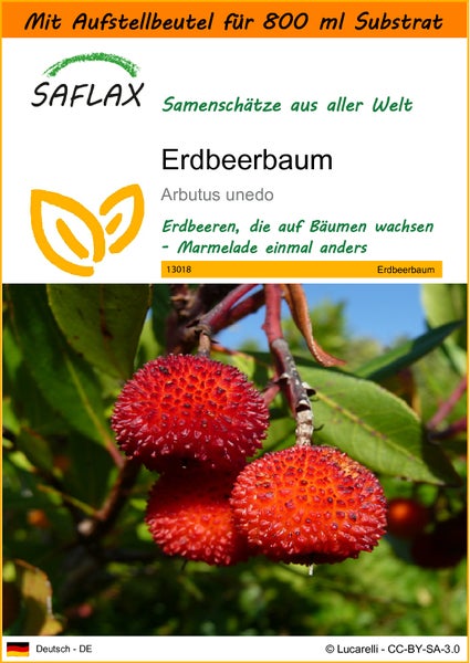 SAFLAX Garden in the bag - Erdbeerbaum - Arbutus unedo - 50 Samen - Mit Anzuchtsubstrat im praktischen, selbst aufstellenden Beutel
