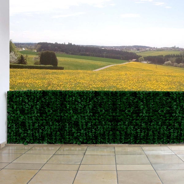 Balkon mit Hecke als Sichtschutz und Landschaft im Hintergrund