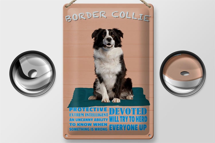Blechschild Spruch 20x30cm Border Collie Hund protective