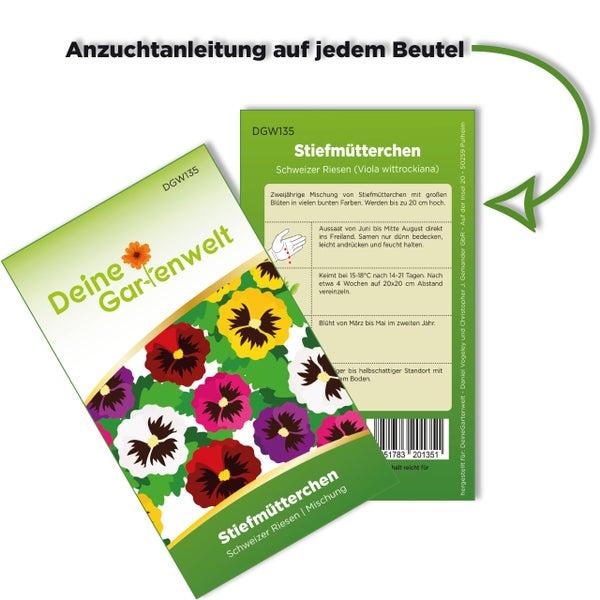 Vorder- und Rückseite einer Samentüte für Stiefmütterchen Schweizer Riesen von Deine Gartenwelt mit Anzuchtanleitung.