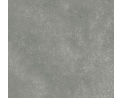 Feinsteinzeug Wand- und Bodenfliese Classica grau 59,8x59,8x0,8cm rektifiziert