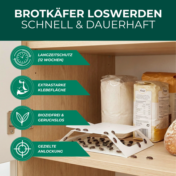 Brotkäferfalle im Küchenschrank mit Mehl und Brot zur Schädlingsbekämpfung