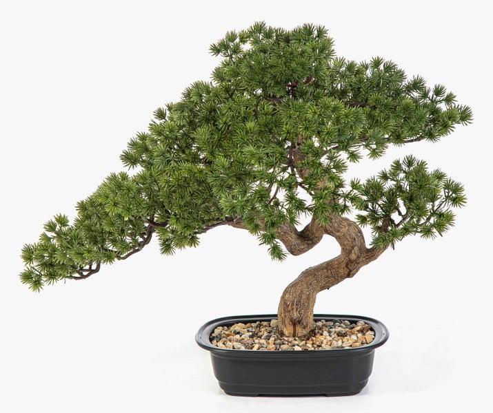 Künstlicher Bonsai-Baum in schwarzer Schale mit kleinen Kieselsteinen.