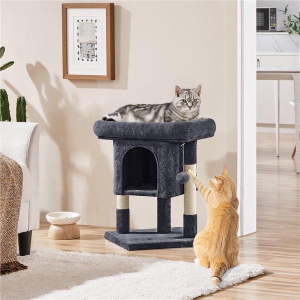 Katzenspielbaum mit Katzen und Kratzstamm in einem hellen Raum.