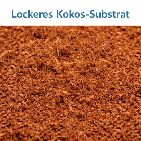 Nahaufnahme von lockerem Kokos-Substrat für Pflanzen.
