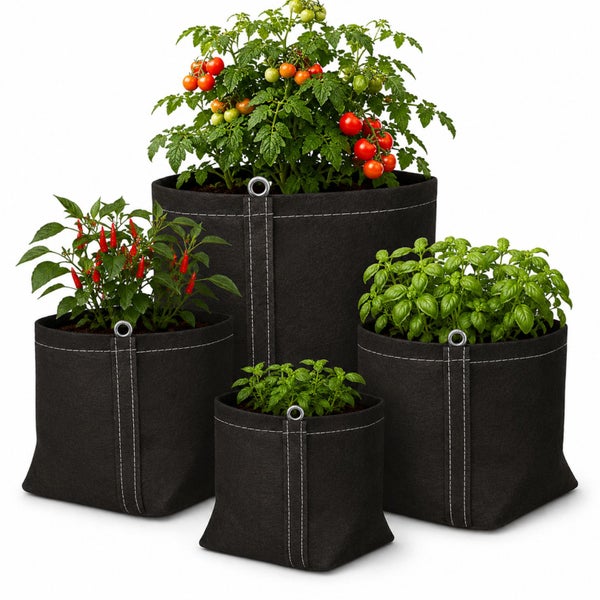 Vier schwarze Pflanztaschen aus Textil in verschiedenen Größen, bepflanzt mit Tomaten, Chili und Kräutern.