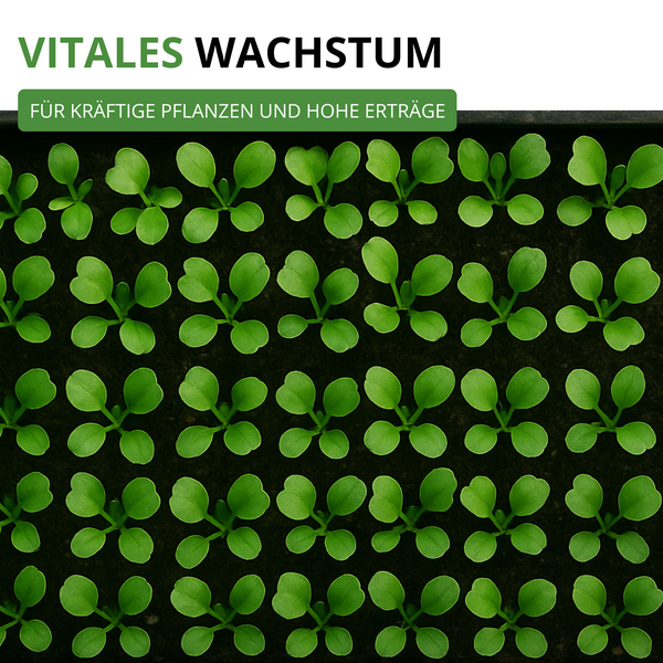 Draufsicht auf junge Keimlinge in Anzuchterde mit dem Text Vitales Wachstum für kräftige Pflanzen und hohe Erträge.