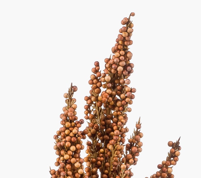 Künstlicher Beerenzweig für Dekorationen.