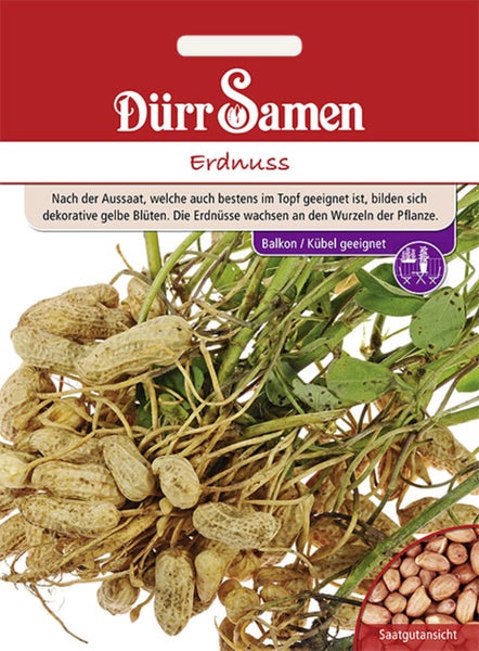 Samentüte Erdnuss von Dürr Samen, geeignet für Balkon und Kübel, Abbildung von Erdnüssen an den Wurzeln und Saatgutansicht.