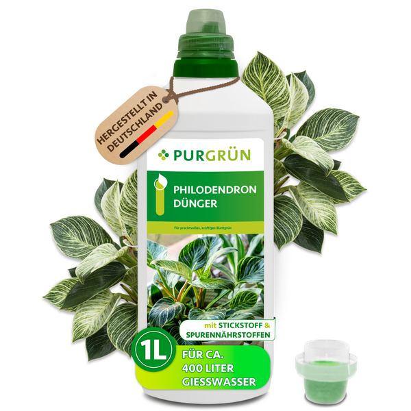 Purgrün Philodendron Dünger flüssig 1 Liter Flasche mit Stickstoff und Spurennährstoffen für Zimmerpflanzen