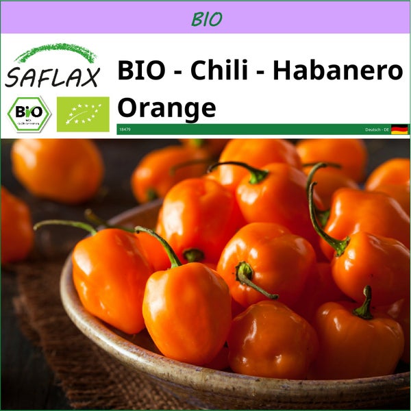 SAFLAX  - BIO - Chili - Habanero Orange - Capsicum annuum - 20 Samen