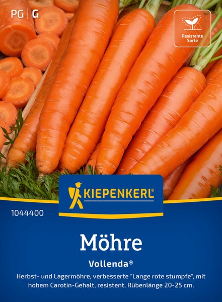 Saatgut Möhre Vollenda von Kiepenkerl als Herbst- und Lagermöhre mit resistenter Sorte für den Anbau im Garten