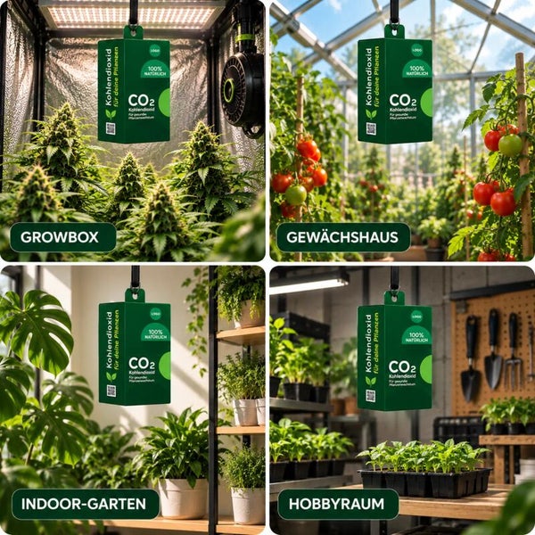 Kohlendioxidspender für Pflanzen in Growbox, Gewächshaus, Indoor Garten und Hobbyraum für gesundes Pflanzenwachstum.