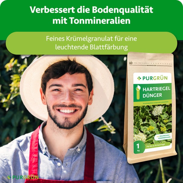 Gasflaschenkarre aus Stahl in Rot mit zwei Rädern und einer Sicherungshalterung für den sicheren Transport von Gasflaschen.