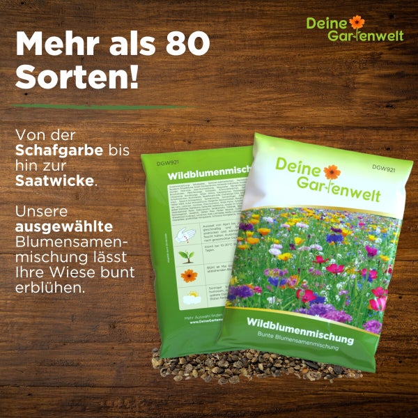 Wildblumenwiese Blumenmischung 100 g Samen von Deine Gartenwelt