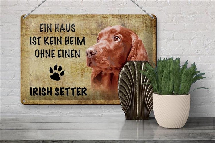 Blechschild Spruch 30x20cm Irish Setter Hund ohne kein Heim