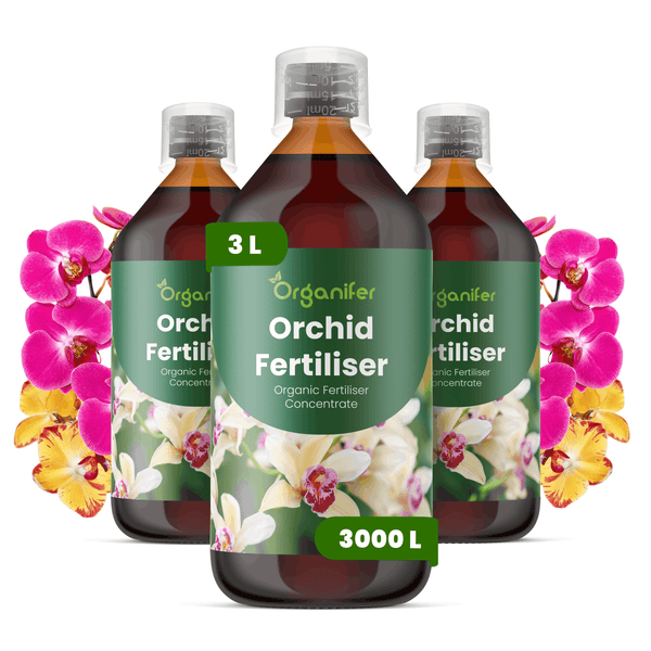 Drei Flaschen Organifer Orchideendünger, organisches Düngerkonzentrat, insgesamt 3 Liter, mit Orchideenblüten abgebildet.