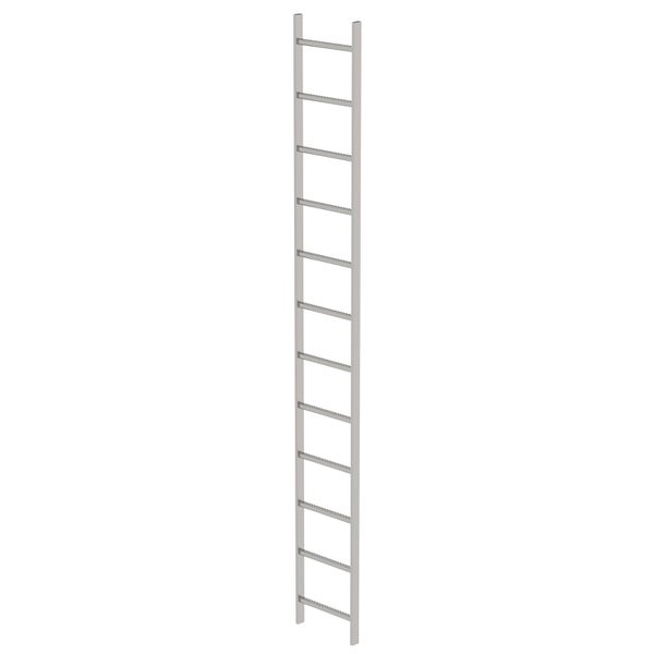 MUNK Schachtleiter aus Edelstahl 400mm breit 12 Sprossen 3,36m lang