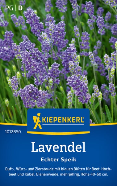 Kiepenkerl Echter Speik Lavendel als mehrjährige Duft- und Zierstaude für Beet und Kübel, Wuchshöhe 40 bis 60 Zentimeter.