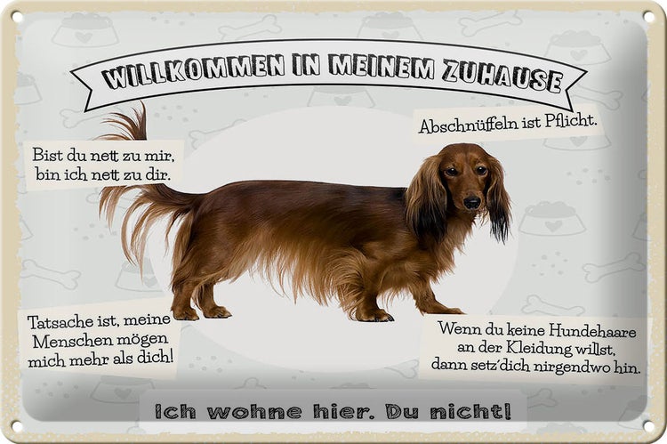 Blechschild Spruch 30x20cm Tiere Hund ich wohne hier du nicht