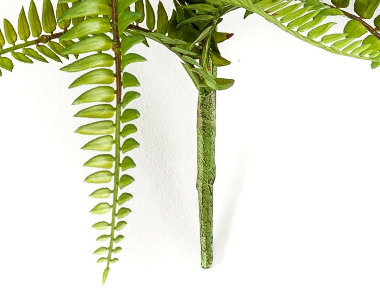 Künstliche Schefflera im schwarzen Kunststofftopf mit grün-gelb gemusterten Blättern und Echtholzstämmen.
