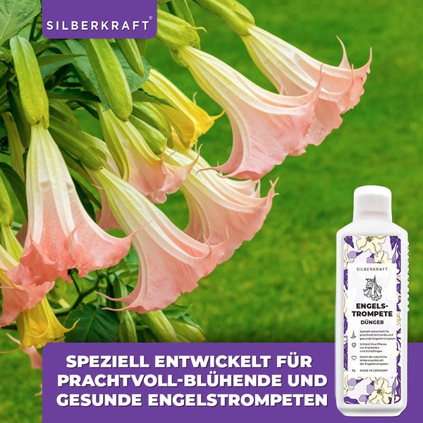 SILBERKRAFT Engelstrompete Dünger – Für prachtvolle Blüten – 1 Liter