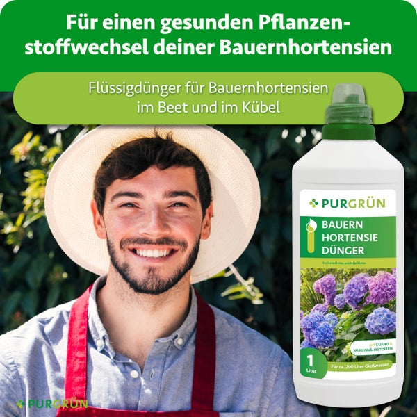 Purgrün Flüssigdünger für Bauernhortensien in der 1 Liter Flasche mit Guano und Spurennährstoffen für kräftige Blüten.