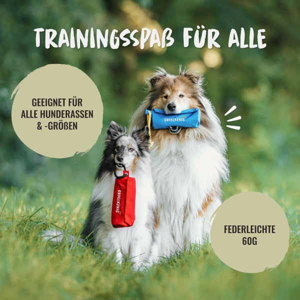 Zwei Hunde mit Hundespielzeug der Marke Rudelkönig im Gras