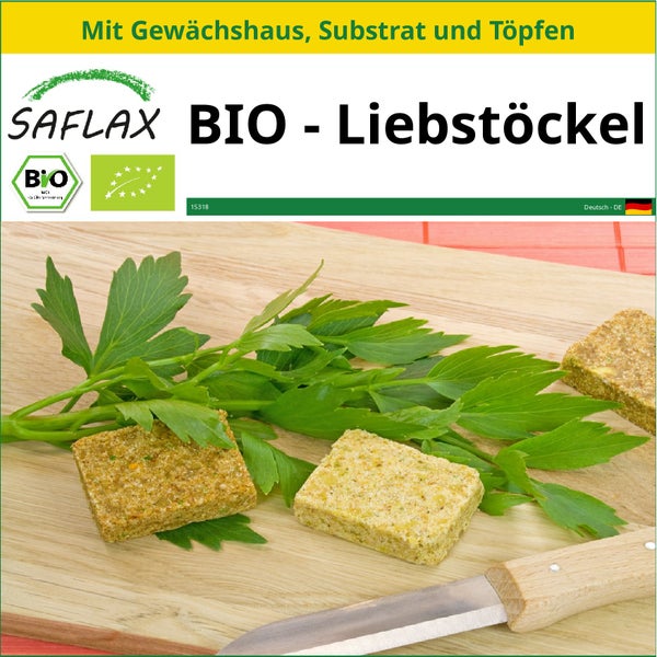 SAFLAX Anzucht Set - BIO - Liebstöckel - Levisticum officinale - 100 Samen - Mit Mini-Gewächshaus, Anzuchtsubstrat und 2 Töpfen