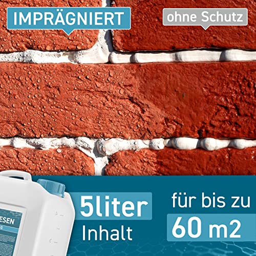 PLINTEX® [5L] Steinimprägnierung Außen & Innen I Stein Imprägnierung universell anwendbar I Naturstein, Steinplatten, Pflasterstein I Steinversiegelung